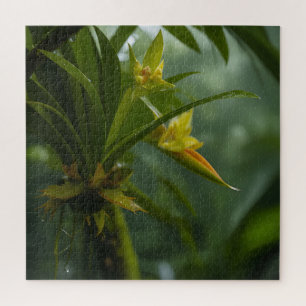 Gele Orchidee Regenwoud Legpuzzel