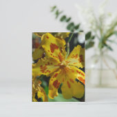 Gele orchidee uit Vero Beach Briefkaart (Staand voorkant)