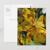 Gele orchidee uit Vero Beach Briefkaart (Voorkant / Achterkant)