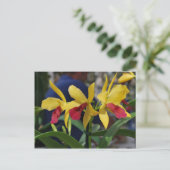 Gele Orchidee uit Vero Beach, FL Briefkaart (Staand voorkant)