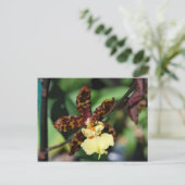 Gele Orchidee uit Vero Beach, FL Briefkaart (Staand voorkant)