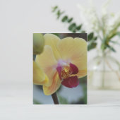 Gele Orchidee van Gardenfest 2011 Briefkaart (Staand voorkant)