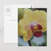 Gele Orchidee van Gardenfest 2011 Briefkaart (Voorkant / Achterkant)
