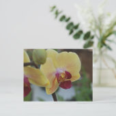 Gele Orchidee van Gardenfest 2011 Briefkaart (Staand voorkant)