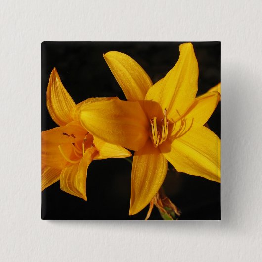 Gele orchidee vierkante button 5,1 cm (Voorkant)