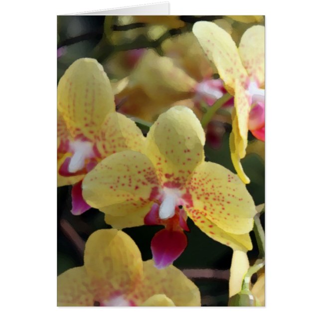 Gele orchideeën bloemen (Voorkant)