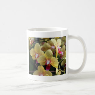 Gele orchideeën bloemen koffiemok