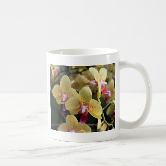 Gele orchideeën bloemen koffiemok (Rechts)