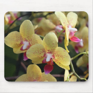 Gele orchideeën bloemen muismat