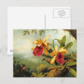 Gele orchideeën briefkaart (Voorkant / Achterkant)