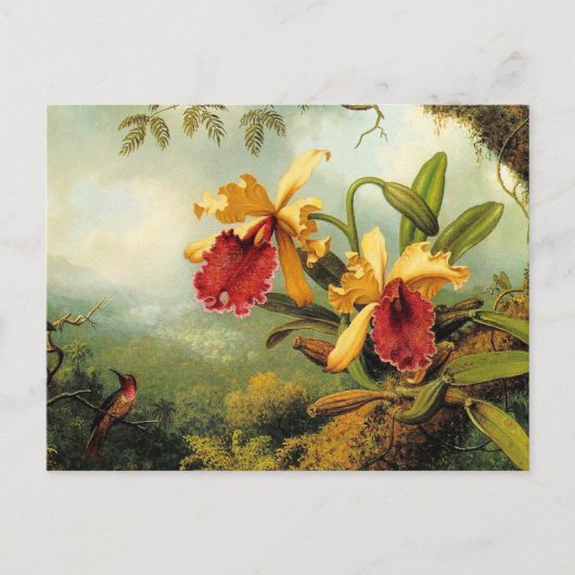Gele orchideeën briefkaart (Voorkant)