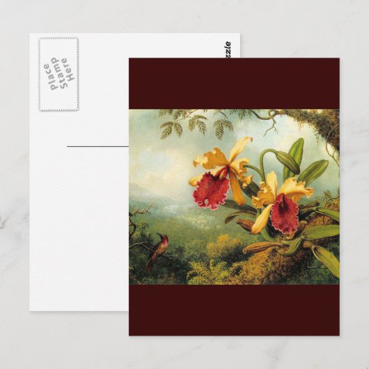 Gele orchideeën briefkaart (Voorkant / Achterkant)