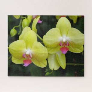 Gele orchideeën Jigzaag Puzzle Legpuzzel