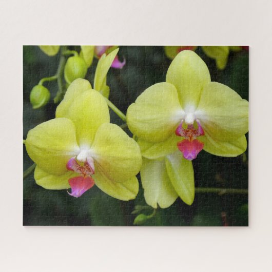 Gele orchideeën Jigzaag Puzzle Legpuzzel (Horizontaal)