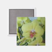 Gele orchideeën magneet (Voorkant / Achterkant)