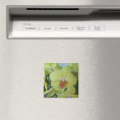 Gele orchideeën magneet (Insitu (Vaatwasser))