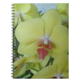 Gele orchideeën notitieboek