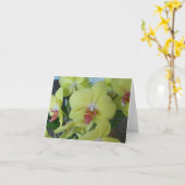 Gele orchideeën op een blanco binneninktpatroon kaart (Gele Bloem)