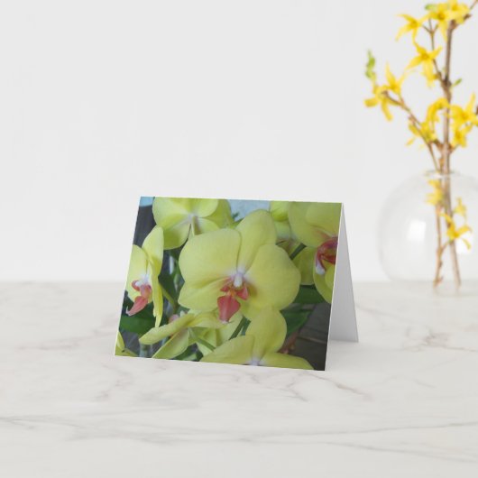 Gele orchideeën op een blanco binneninktpatroon kaart (Gele Bloem)