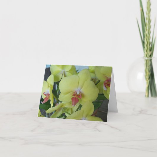Gele orchideeën op een blanco binneninktpatroon kaart (Voorkant)