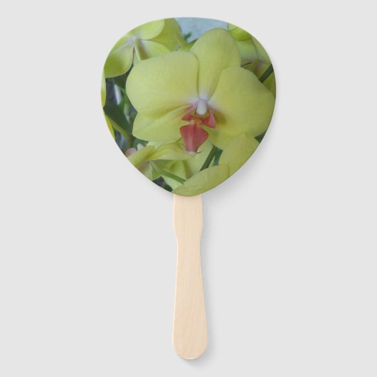 Gele orchideeën op een handventilator handwaaier (Voorkant)