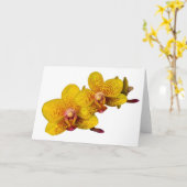 Gele orchideeën op wit kaart (Gele Bloem)