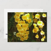 Gele Orchids Tropische Bloemen Briefkaart (Voorkant / Achterkant)