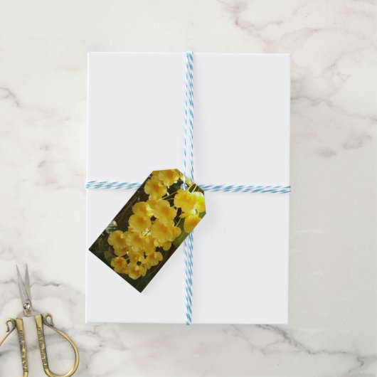 Gele Orchids Tropische Bloemen Cadeaulabel (Met Touw)