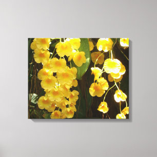 Gele Orchids Tropische Bloemen Canvas Afdruk