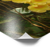 Gele Orchids Tropische Bloemen Foto Afdruk (Hoek)