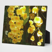 Gele Orchids Tropische Bloemen Fotoplaat (Zijkant)