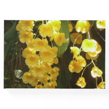 Gele Orchids Tropische Bloemen
