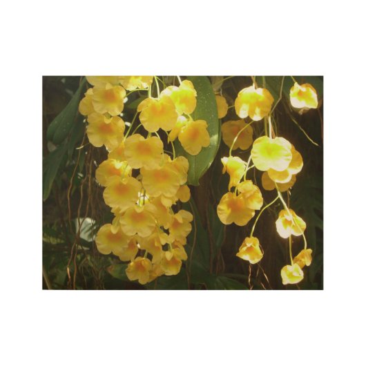 Gele Orchids Tropische Bloemen Houten Poster (Voorkant)