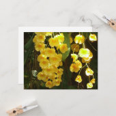 Gele Orchids Tropische Bloemen Kaart (Voorkant / Achterkant in situ)