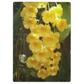 Gele Orchids Tropische Bloemen Klembord (Achterkant)