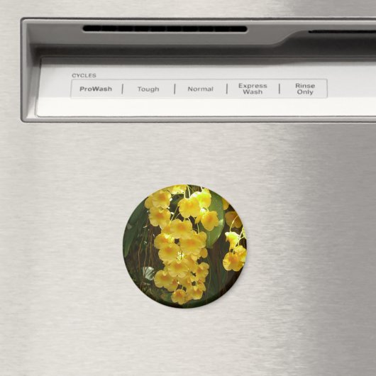 Gele Orchids Tropische Bloemen Magneet (Insitu (Vaatwasser))