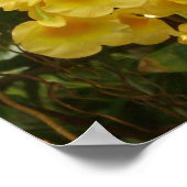 Gele Orchids Tropische Bloemen Poster (Hoek)