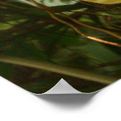 Gele Orchids Tropische Bloemen Poster (Hoek)