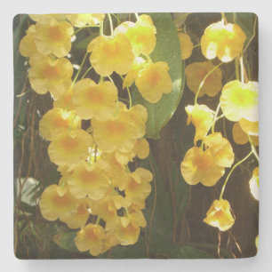 Gele Orchids Tropische Bloemen Stenen Onderzetter