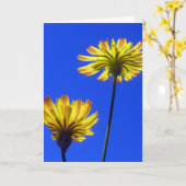 Gele paardebloem, blauwe lucht, blije, positieve N Kaart (Gele Bloem)