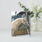 Gele paarden briefkaart (Staand voorkant)