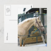 Gele paarden briefkaart (Voorkant / Achterkant)