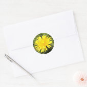 Gele paardenbloem natuur foto sticker (Envelop)