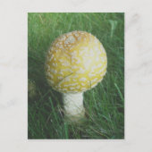 Gele paddenstoel #4 briefkaart (Voorkant)
