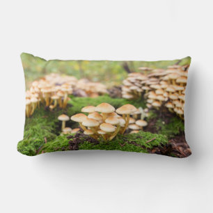 Gele paddenstoelen in het herfstbos. kussen