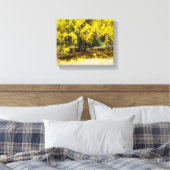 Gele Palo Verde boom Canvas Afdruk (Insitu (Slaapkamer))