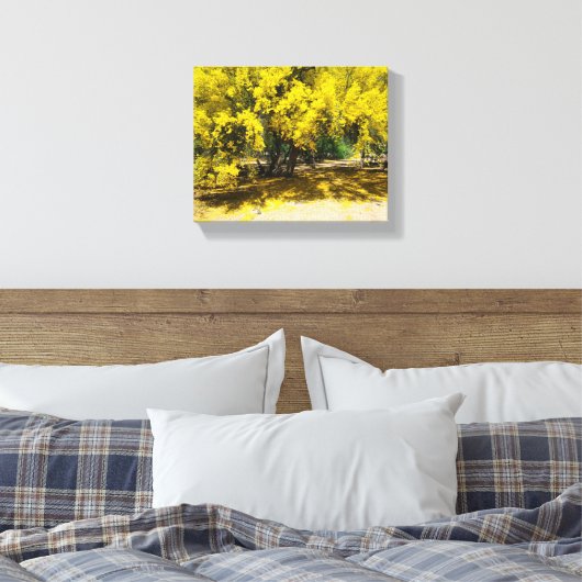 Gele Palo Verde boom Canvas Afdruk (Insitu (Slaapkamer))