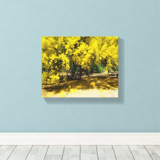 Gele Palo Verde boom Canvas Afdruk (Insitu (Houten vloer))