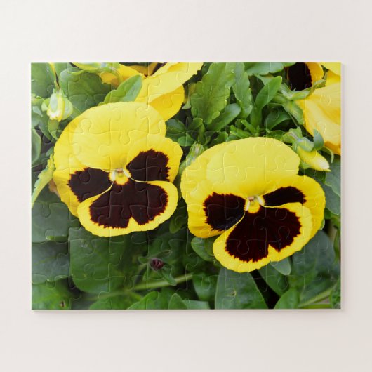Gele panserbloemen legpuzzel (Horizontaal)