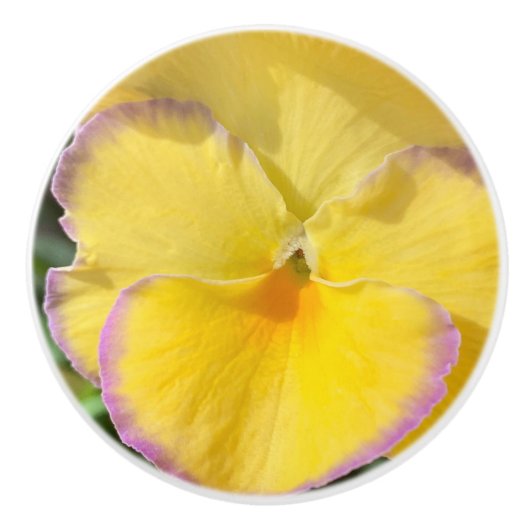 Gele pansie keramische knop (Voorkant)